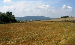 Nowa Słupia - Grzegorzowice - Waśniów - Momina - Szwarszowice