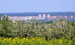 Rzuchów