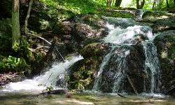 Dolinki Podkrakowskie - Dolina Będkowska