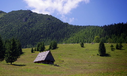 Tatry: Nosal - Hala Kondratowa