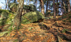 Rożnów, Ciężkowice, Magura Małastowska