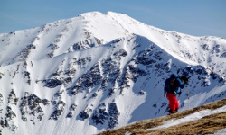 Tatry: Dolina Chochołowska - Rakoń