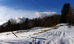 Beskid Wyspowy: Sałasz