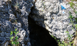 Nature Reserve Kajasówka