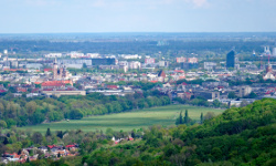 Wolski Forest, Kraków