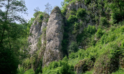 Dolinki Podkrakowskie