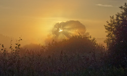 Kraków-Pychowice (08-28)