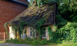 Lesser Poland (09-19)