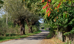 Świętokrzyskie (10-03)