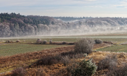 Duże Skałki, Czajowice