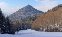 Pieniny