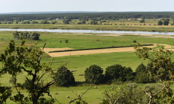 Bielinek Nature Reserve