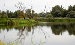Ujście Warty National Park