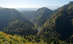 Pieniny