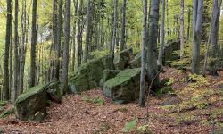 Bukowa Góra, Holy Cross Mountains