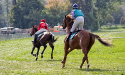 Wielka Włościańska Gonitwa Krakowska