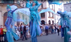 Varia - movies (2014)